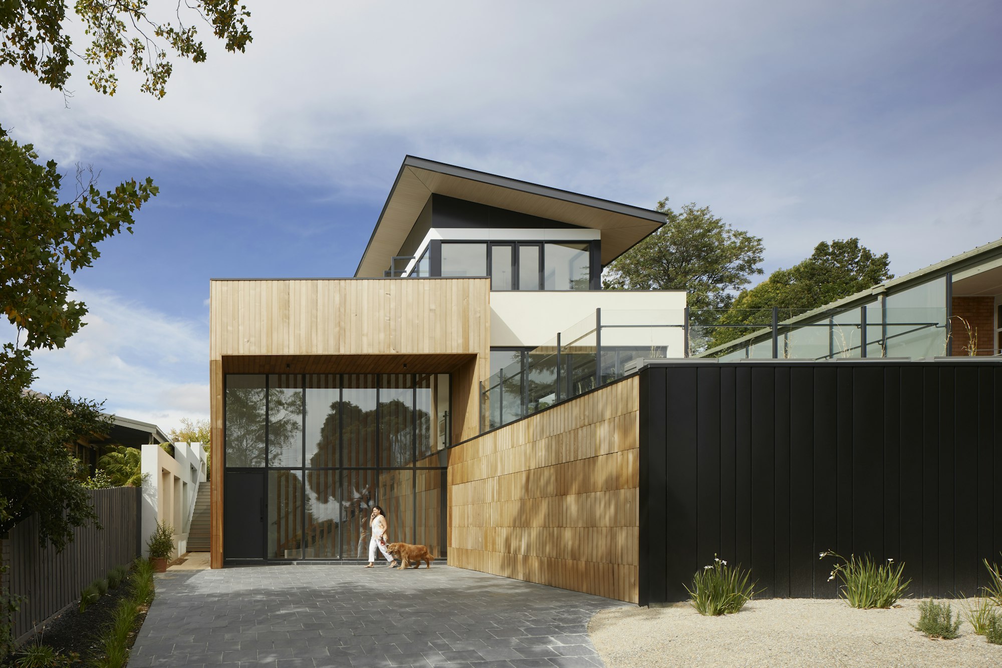 Split-level exterior with walls of glass and a warm-wood facade, viewed from the courtyard approach.